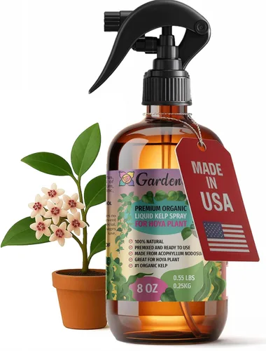 Vista 42 de GARDENERA Spray orgánico profesional de algas marinas para plantas AGLAONEMA – 8 oz – Rocío fertilizante de algas marinas y algas marinas totalmente