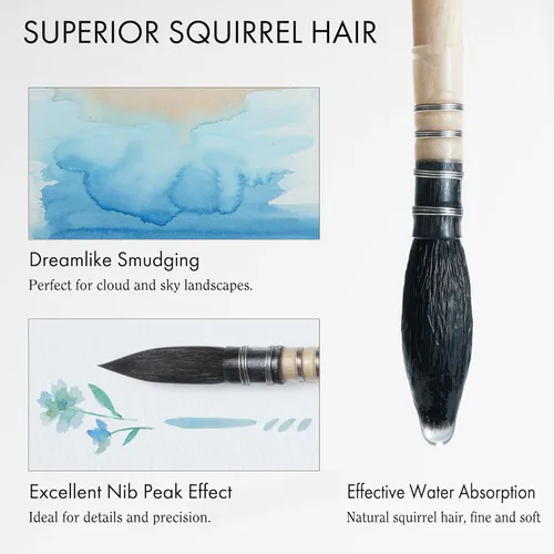 Vista 4 de ARTIFY - Pinceles de acuarela para cabello de ardilla natural profesional, punta fina, para trapeador redondo, punta fina, para manchas de trazos