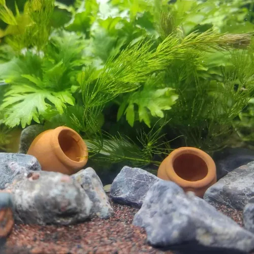 Vista 6 de Mini macetas de terracota – Macetas pequeñas de arcilla para suculentas, cactus, manualidades de bricolaje, jardín de hadas, proyectos escolares