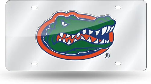 Vista 156 de Rico Industries Placa de matrícula de metal con incrustaciones láser de Florida Gators de la NCAA