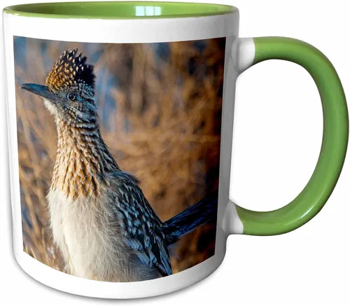 Vista 10 de 3dRose Roadrunner bird, Bosque del apache NWR, Nuevo México - US32 CHA0044 - Chuck Haney - Taza negra de dos tonos de 11 oz Negro