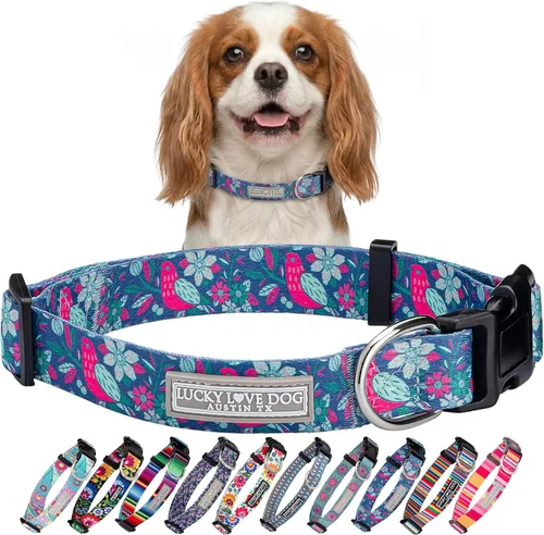 Vista 24 de Lucky Love Dog - Collar para perras pequeñas, diseño Blackbird de estampado alegre con flores de primavera y verano, talla XS Collar Blackbird