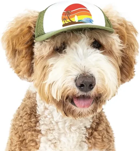 Vista 16 de Sunset Collection, sombreros de camionero de PupLid para perros (XXS) Protección solar elegante de alta calidad para el perro moderno, ajustable