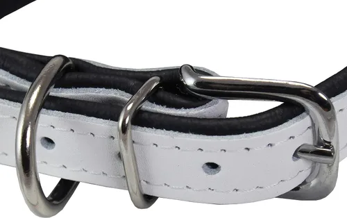 Vista 2 de Dogs My Love Collar de perro cónico acolchado extra ancho de cuero real (cuello de 11 a 13 pulgadas; 2 pulgadas de ancho, blanco)