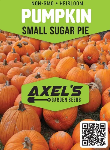 Vista 2 de Semillas pequeñas de calabaza de azúcar para plantar, paquete de reliquia sin OMG con instrucciones para plantar un huerto casero, gran regalo