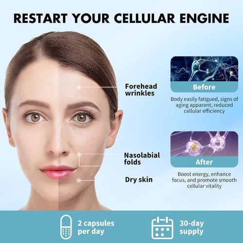 Vista 7 de NAD Suplemento para hombres, alternativa liposomal NAD+ NMN apoya la salud celular, ralentiza el envejecimiento, ayuda a concentrarse y promueve