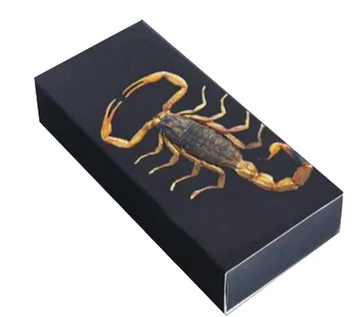 Vista 2 de Pulsera rectangular trenzada Lucite que brilla en la oscuridad con escorpión dorado genuino