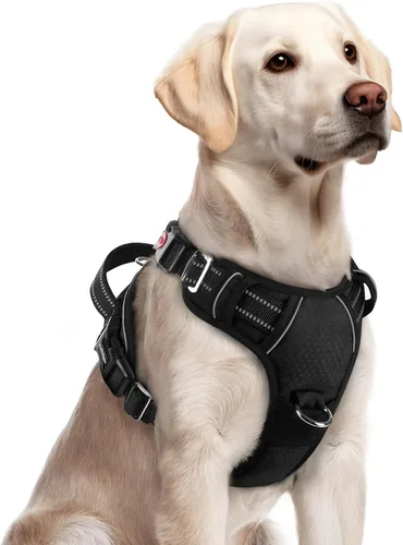 Vista 22 de Rabbitgoo - Arnés para perro de tamaño pequeño, sin tirones, 3 hebillas, fácil de poner y quitar Negro