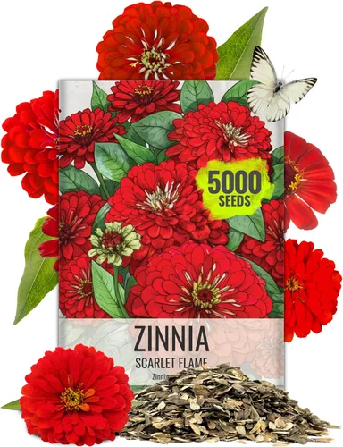 Vista 11 de Seed Needs State Fair - Semillas de zinnia para plantar flores cortadas mixtas, 1 paquete 4-Mezclado
