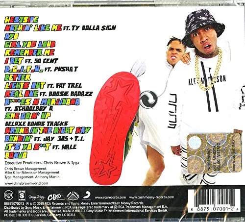 Vista 2 de Fan of A Fan The Album Deluxe Version