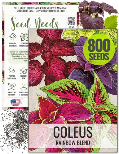 Vista 9 de Seed Needs - Semillas de cretonas, mezcla arcoíris (Coleus blumei), 2 paquetes de 800 semillas cada uno