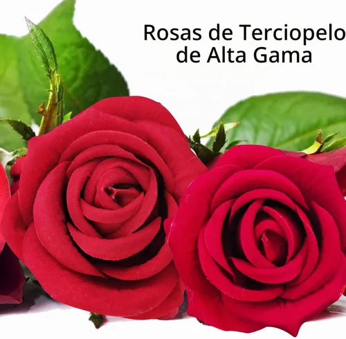 Vista 2 de 12 rosas artificiales de terciopelo con tallos largos, rosas falsas de tacto real para San Valentín, ramo de boda, fiesta, mesa, centro de mesa