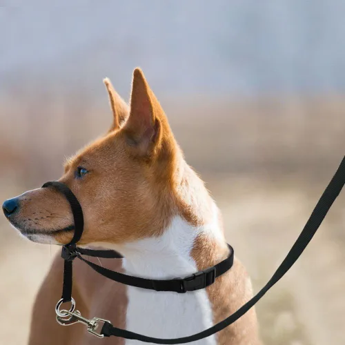 Vista 4 de BARKELSS - Collar para cabeza de perro, ajustable acolchado para dejar de tirar, control suave en los paseos, incluye 1 correa y guía