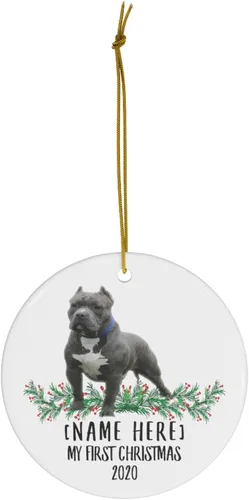 Vista 2 de Nombre personalizado con nombre personalizado, año American Bully azul, gris, decoraciones de Año Nuevo 2024, regalos para el primer 2023, adornos