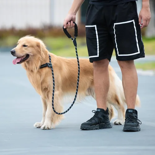 Vista 6 de iYoShop Correa Deslizante Duradera para Perro con Mango Acolchado e Hilos Altamente Reflectantes, Correa de Entrenamiento para Perros Sin Tirones