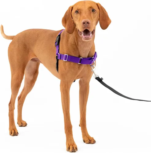 Vista 60 de PetSafe Easy Walk - Arnés para perro, sin tirones, gris carbón Carbón/Negro