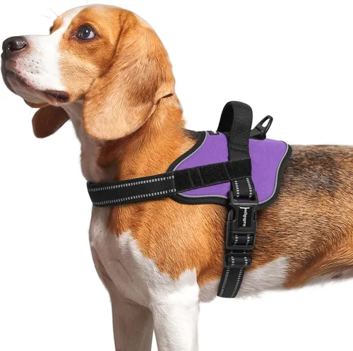 Vista 14 de rabbitgoo Arnés para perro de tamaño pequeño, chaleco para mascotas sin tirones, sin estrangulamiento, fácil de llevar con una hebilla, reflectante