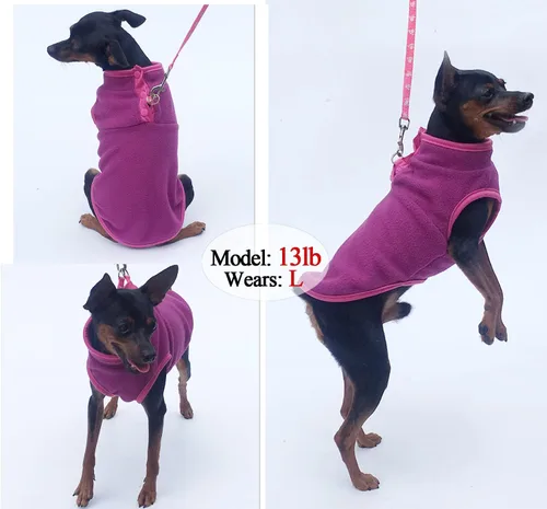 Vista 4 de Paquete de 2 suéteres para perro, chaqueta cálida para cachorros, abrigo de otoño e invierno, ropa de forro polar elástico para mascotas con botones