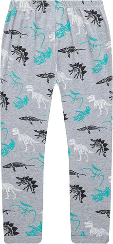 Vista 7 de Golduck Conjunto de pantalones de algodón de dinosaurio para niños con estampado completo