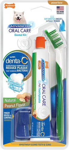 Vista 12 de Nylabone Advanced Oral Care - Kit dental para perros mayores con cepillo de dientes de cerdas suaves y acolchadas, 3