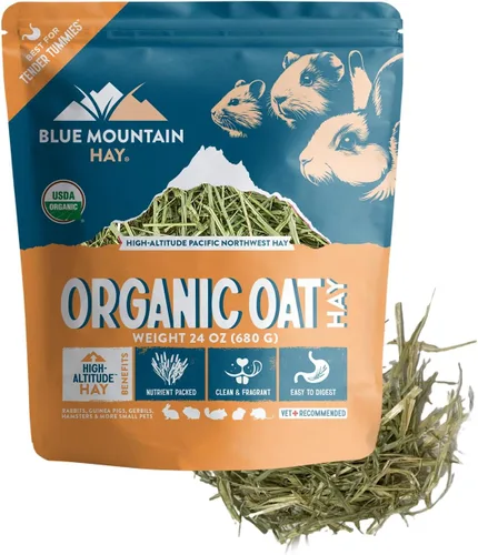 Vista 2 de Blue Mountain Hay Heno de avena orgánica fresca (15 onzas) de High Altitude Animal Farm para la salud digestiva y el cuidado dental, USDA Organic