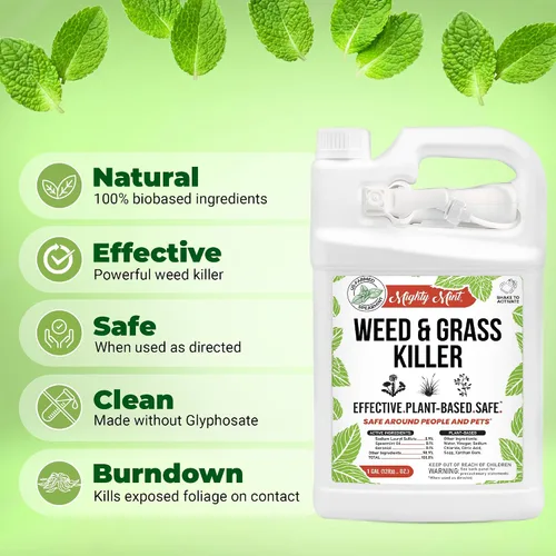 Vista 2 de Herbicida y hierba – Vinagre natural y sal – 1 galón – Sin glifosato