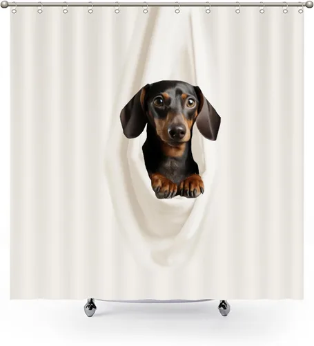 Vista 2 de Cortinas de ducha clásicas divertidas – Dachshund descansando en tela blanca colgada de poliéster tela de poliéster decoración de baño con ganchos