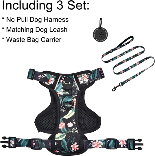 Vista 3 de Petmolico Arnés para perros pequeños, bonito arnés con dos clips para correa y mango suave, chaleco reflectante para cachorros fácil de caminar