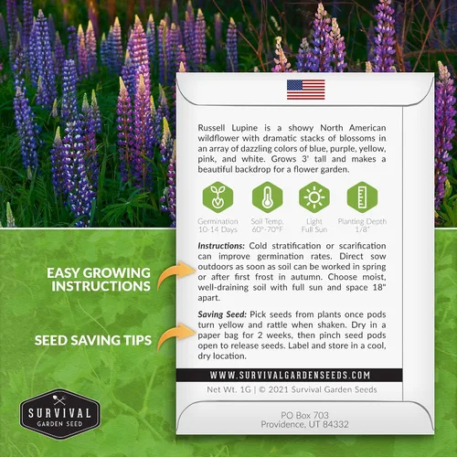 Vista 2 de Survival Garden Seeds Russell Lupine Mix Semillas para plantar, 1 paquete Mezcla de flores perennes, picos altos y coloridos, flores de jardín