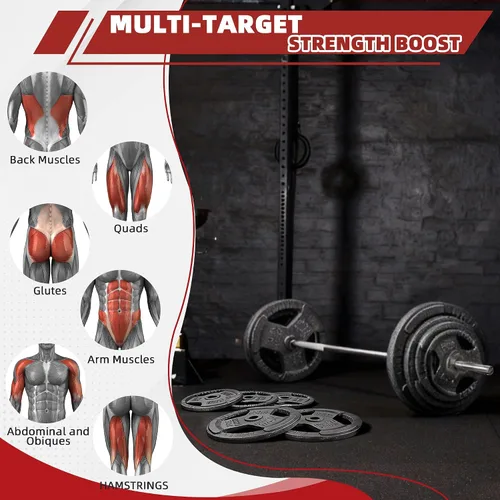Vista 5 de Fitvids Juego de discos de pesas estándar de 1 pulgada, juego de pesas para entrenamiento de fuerza en el gimnasio en casa, diseño de triple asa