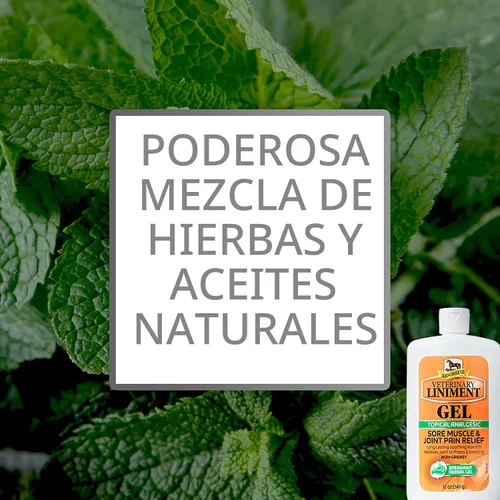 Vista 3 de Absorbine Gel de linimento veterinario, ungüento analgésico tópico de mentol para músculos adoloridos, dolor de articulaciones y artritis, paquete