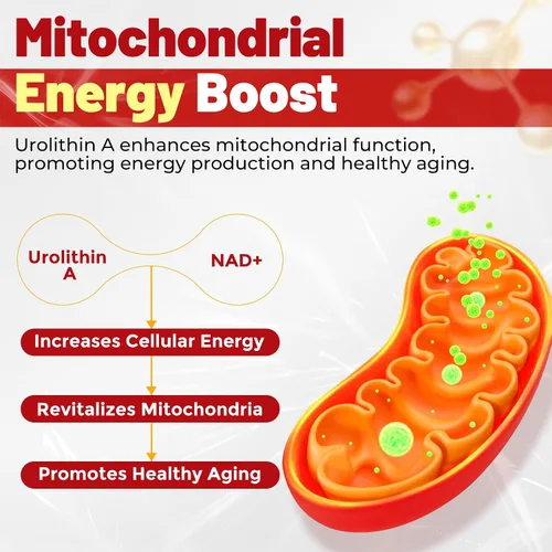 Vista 4 de Gomitas de urolitina A para longevidad y energía muscular, suplemento liposomal de urolitina A+ de 1000 mg con NAD+, CoQ10, resveratrol
