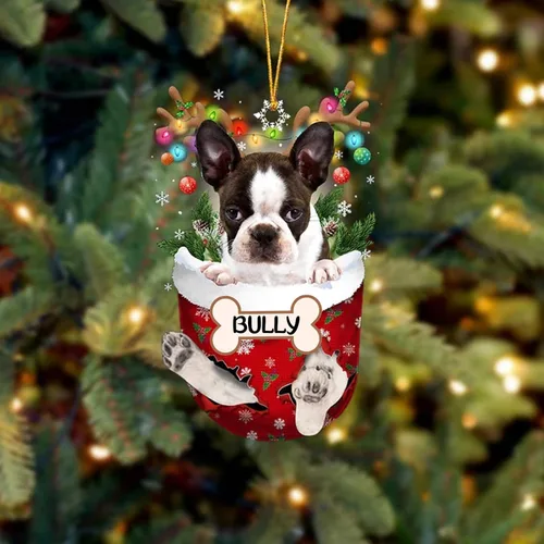 Vista 140 de IZI POD Affenpinscher Adorno de Navidad personalizado para perro, adorno de bolsillo de nieve para perro para árbol de Navidad, adorno acrílico