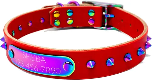 Vista 13 de Collar de perro de cuero con brida hecha a mano, grabado arco iris de acero inoxidable (negro)