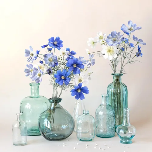 Vista 5 de 6 piezas de Coreopsis de seda azul, flores cosmos de tallo largo flexibles Soft silk blooms with bendable wire stems, total 24 flowers