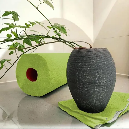 Vista 6 de Renova Toalla de papel verde Jumbo Rollo de 2 capas 120 hojas altamente absorbentes
