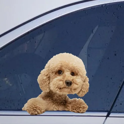 Vista 16 de Calcomanías de perro caniche, divertidas calcomanías de vinilo troqueladas para automóvil, laptop, parachoques Estilo-37