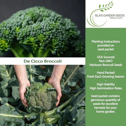 Vista 2 de De Cicco - Semillas de brócoli (Brassica oleracea), más de 300 semillas sin OMG y reliquias de Isla's Garden Seeds, reliquia italiana para cosechas