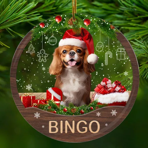 Vista 19 de Adorno personalizado de gato negro para regalo de Navidad de 2.90 x 2.90 pulgadas, acrílico personalizado con nombre de mascota, árbol para colgar