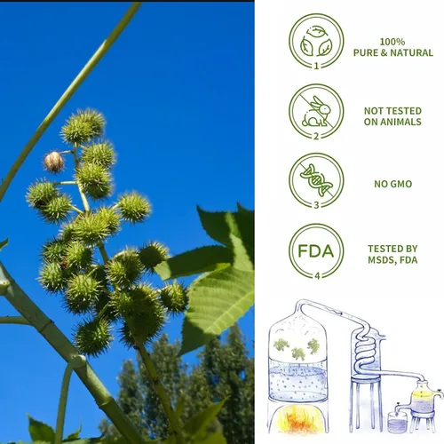 Vista 2 de yethious Aceite de ricino orgánico prensado en frío sin refinar crecimiento para pestañas, cejas, cabello. Kit de inicio de hidratación para la piel