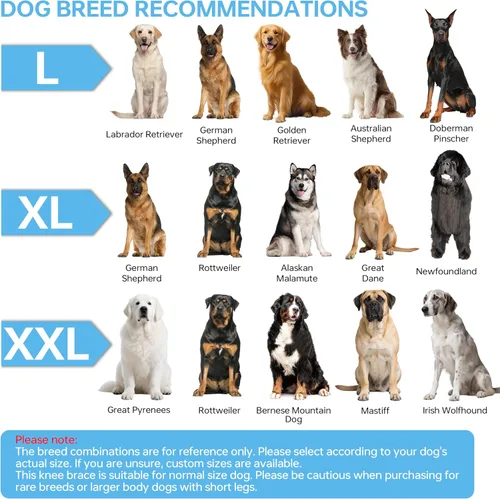 Vista 9 de Rodillera para perro para pierna trasera desgarrada, rodillera universal para perro para cuatro patas, alivia lesiones de ligamentos, soporte