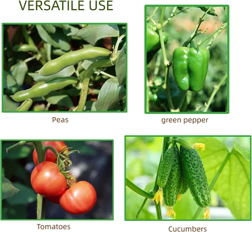 Vista 7 de ARIFARO Enrejado de metal de 24 pulgadas para plantas trepadoras, paquete de 4 enrejados para plantas en maceta, enrejado negro para interiores