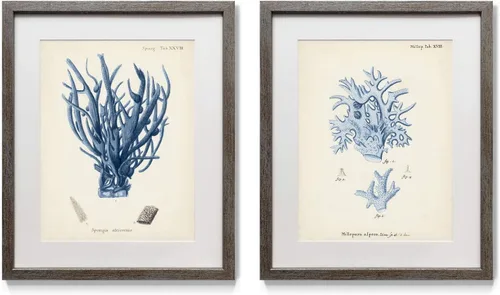 Vista 23 de Renditions Gallery Antique Coral in Navy (1) 2 Piece Framed Artwork Set, Underwater Ocean Themed Pair, Blue, Modern Distressed Silver Frame, White