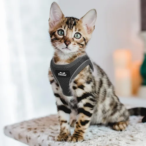 Vista 6 de TwoEar Arnés de gato a prueba de escape, suave chaleco ajustable para perro, de malla transpirable, chaqueta reflectante de fácil control para Negro