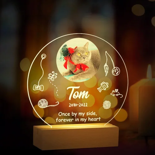 Vista 11 de Regalos conmemorativos personalizados para perros por pérdida de perro, regalos conmemorativos para mascotas para perros y gatos, placa fotográfica