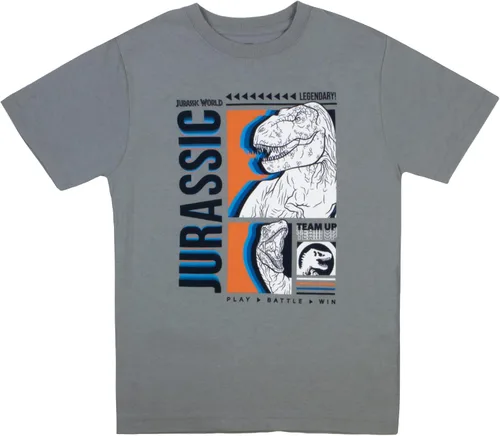 Vista 4 de Universal Studios Jurassic World - Juego de 2 camisetas para niños, camisetas de dinosaurio para niños