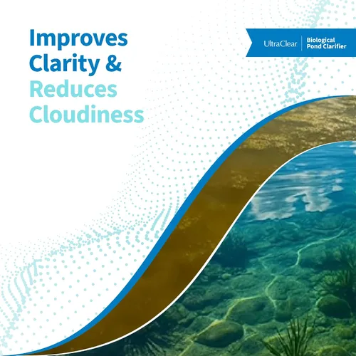 Vista 3 de Clarificador (1 galón) – Limpiador natural de estanques con bacterias beneficiosas – Mejora la claridad del agua y reduce la nubosidad para el agua