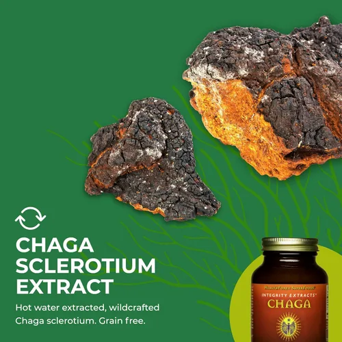 Vista 6 de HealthForce SuperFoods Integrity Extracts Chaga - Polvo - 2.47 oz