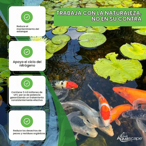 Vista 4 de Aquascape - Bacterias secas y beneficiosas para las características del estanque y del agua., Blanco