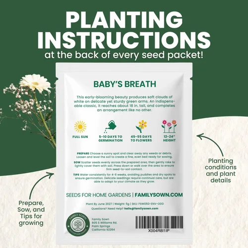 Vista 4 de Baby's Breath - 4,000 semillas para plantar - Temporada 2026 - Bolsa de 0.18 oz